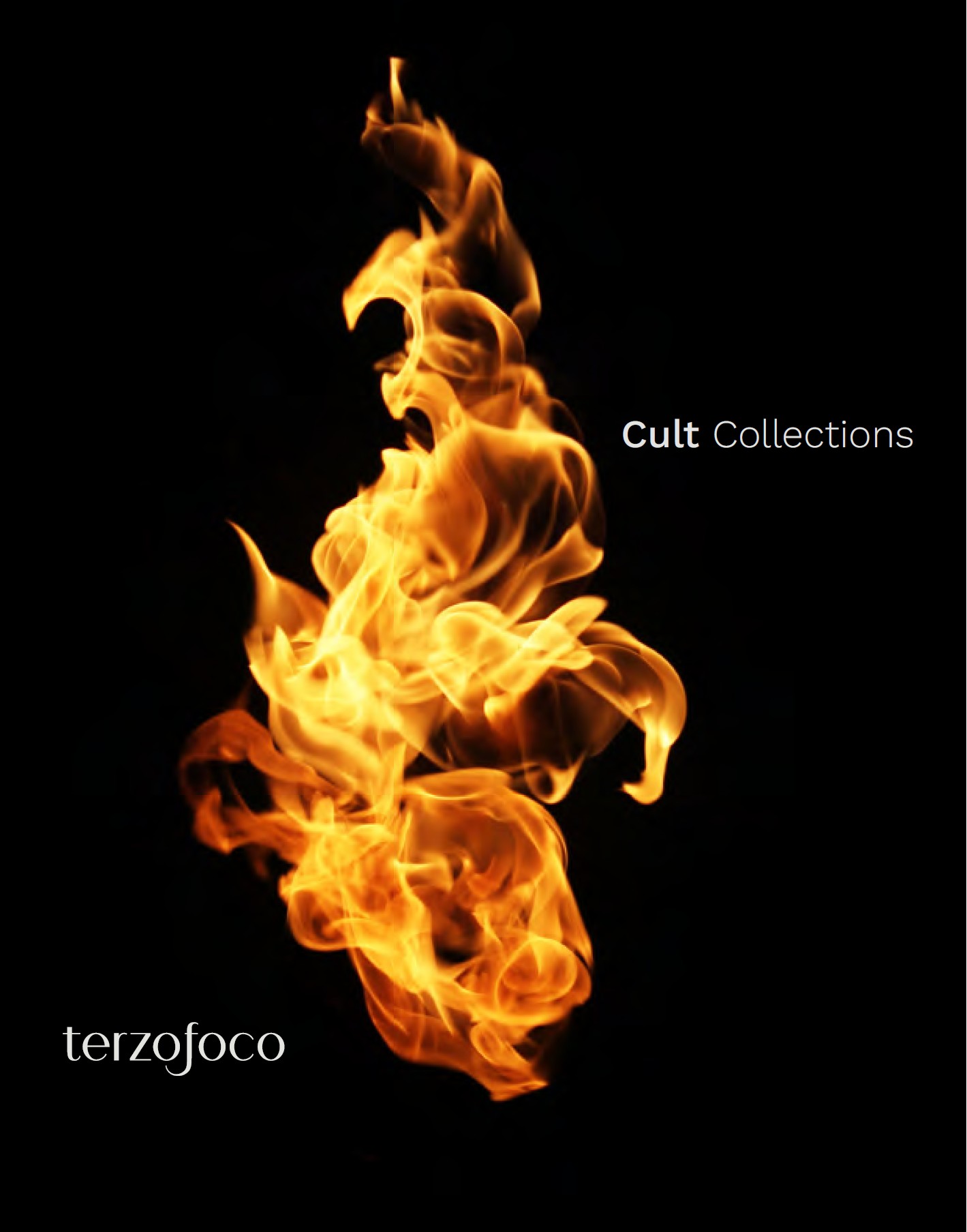 terzofoco-Cult-katalog